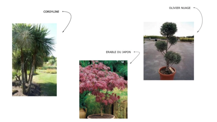 Minimalist, Contemporary