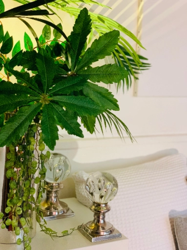 Bohemian, Contemporary, Japanese, Scandinavian, Flats / Apartments, Room