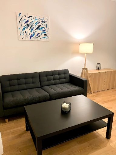 Contemporary, Scandinavian, Flats / Apartments, Chic