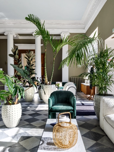 Hotel, Commercial Buildings, Restaurant, Chic