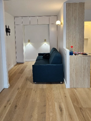 Minimalist, Contemporary, Flats / Apartments