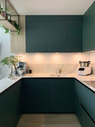 Maison individuelle, Cuisine, Nature