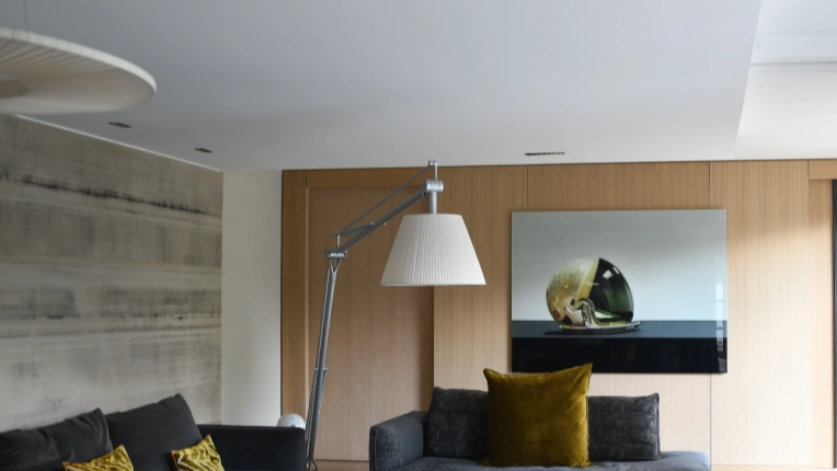 Contemporary, Chic, Living room