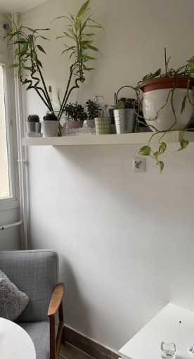 Bohème, Minimaliste, Contemporain, Scandinave, Appartement, Cuisine, Nature, Feng Shui