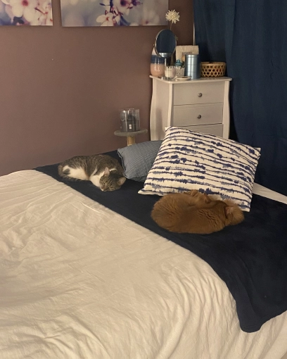 Rustique, Bohème, Vintage, Chambre