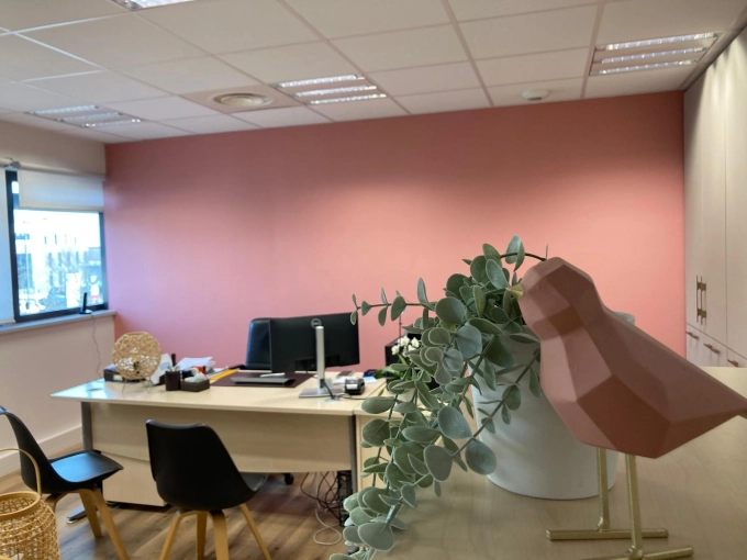 Bohemian, Retail / store, Nature, Full Project