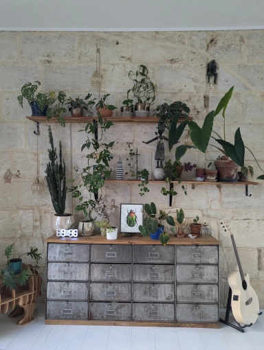 Maison individuelle, Bohème, Vintage, Nature, Feng Shui, Visite conseil, Home staging, Liste shopping