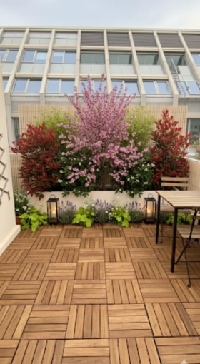 Scandinavian, Outdoor/Garden, Nature, Consultation Visit, Shopping list, 3D ambiance, Plan