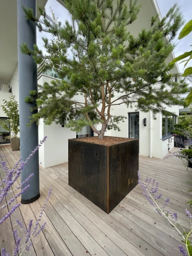 Outdoor/Garden, Nature