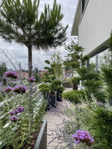 Outdoor/Garden, Nature