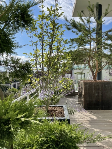 Outdoor/Garden, Nature