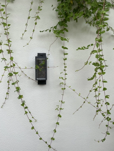 Outdoor/Garden, Nature