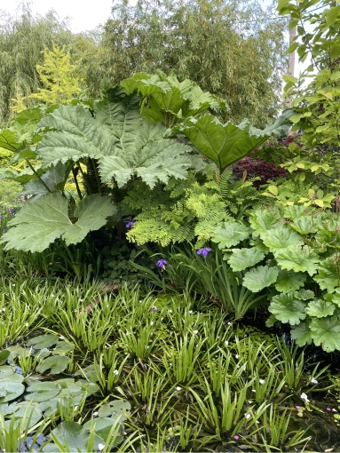 Bohemian, Outdoor/Garden