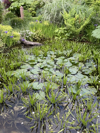 Bohemian, Outdoor/Garden