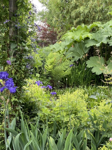 Bohemian, Outdoor/Garden