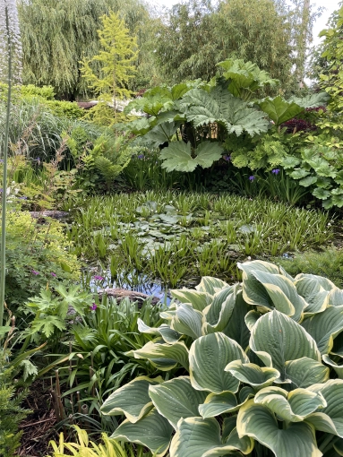 Bohemian, Outdoor/Garden