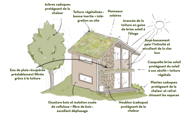 Bohemian, Scandinavian, Nature, Tiny house, 3D ambiance, Plan
