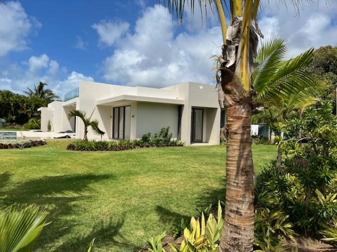 Contemporary, Room, Nature, Full Project, Plan