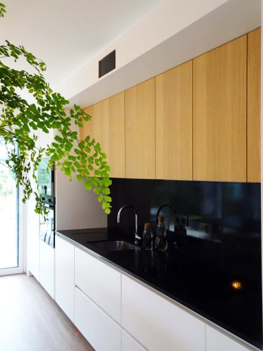 Contemporary, Kitchen, Chic, 3D ambiance