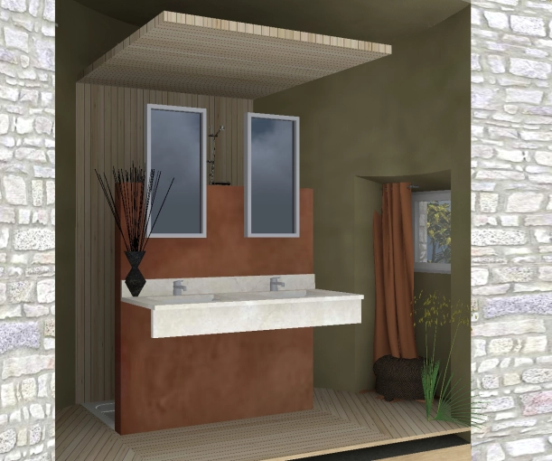 Bathroom, Nature, Feng Shui, Consultation Visit, 3D ambiance, Plan, Renovation