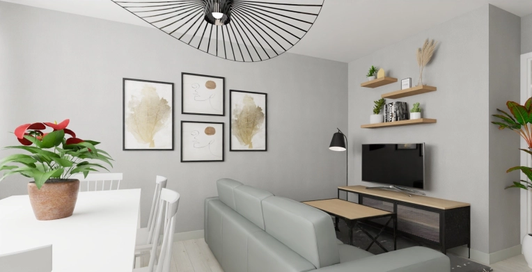 Living room, Consultation Visit, Home Staging, Remote Coaching, Coach shopping, Shopping list, 3D ambiance, Plan